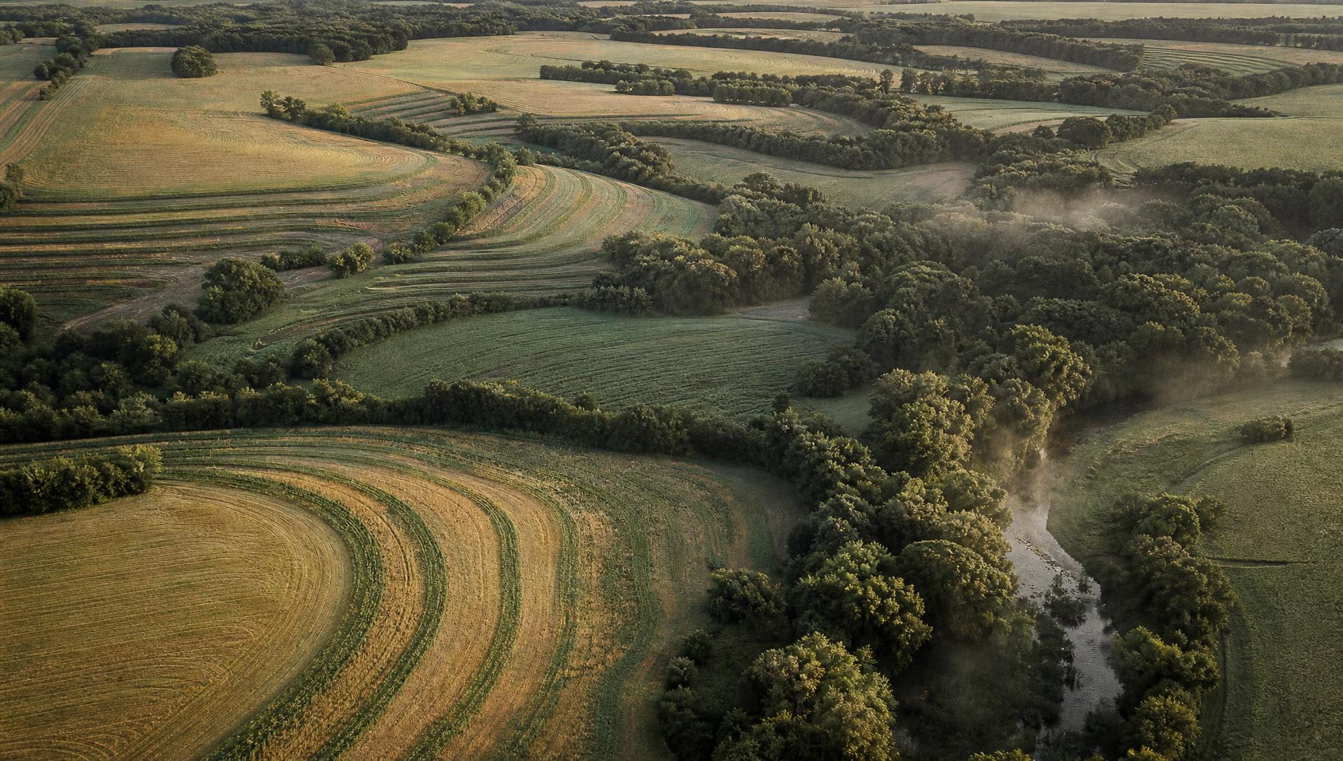Vista aérea de mosaico agrícola com faixas de vegetação nativa preservadas